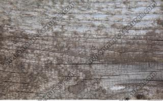 wood bare rough 0018